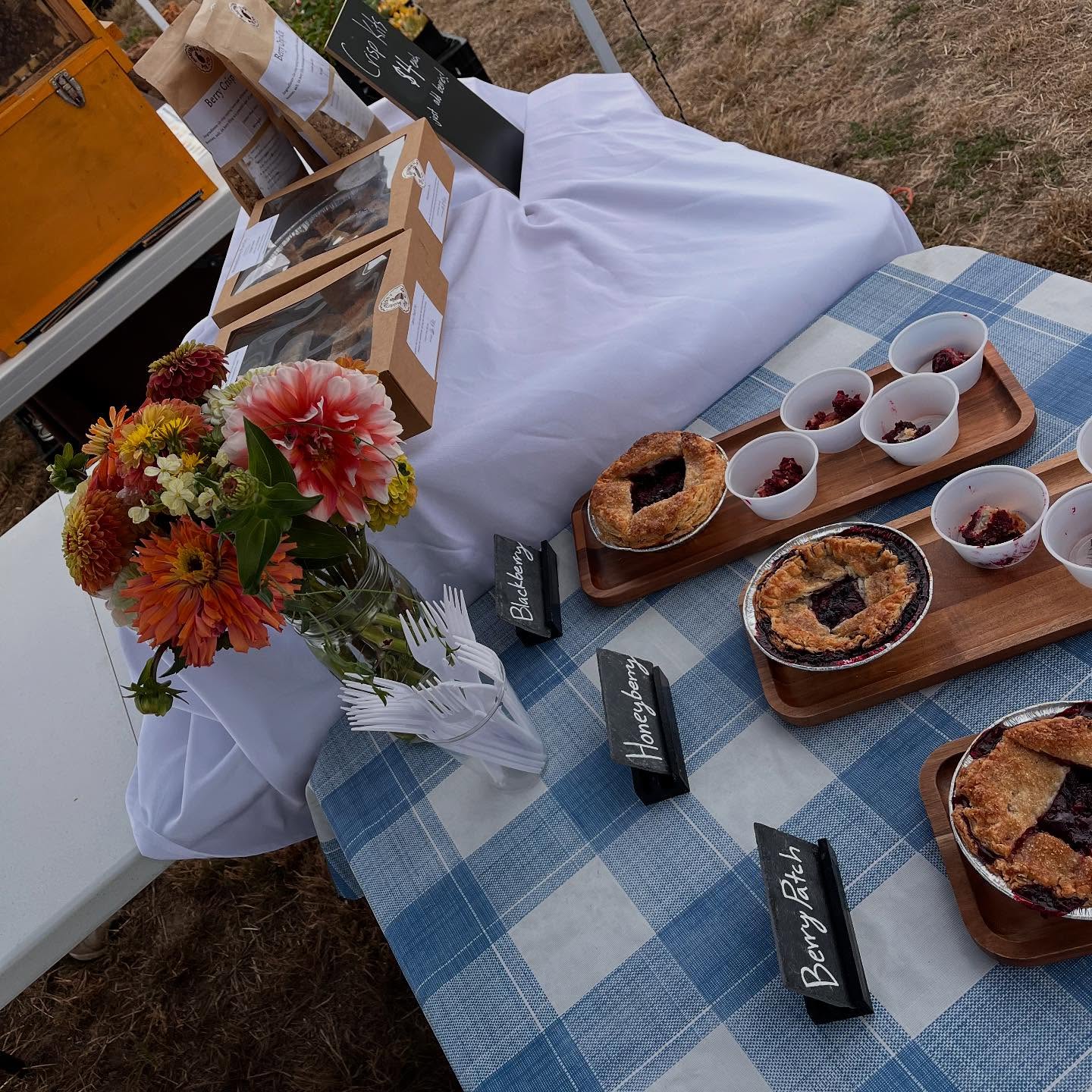 HoneyBerry pies displayed for the Loganberry menu card